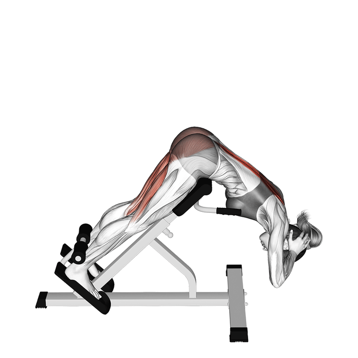 Animatie van de back extension, uitgevoerd door een vrouw