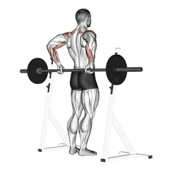 Rear delt raise