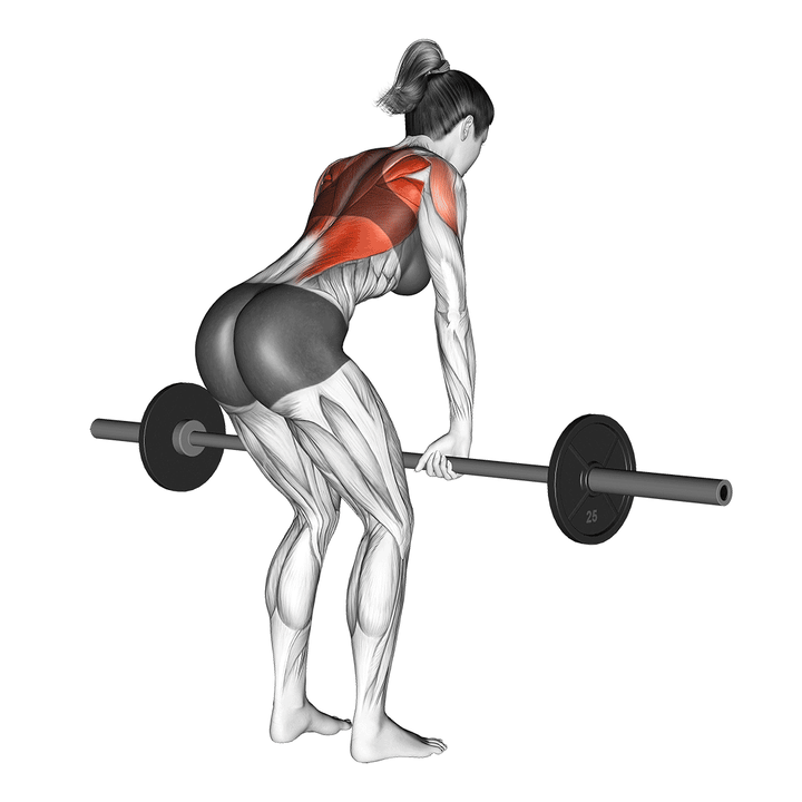 Animatie van de barbell row, uitgevoerd door een vrouw