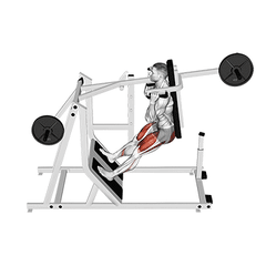 Pendulum squat