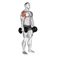 Met dumbbells