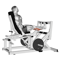 Calf press