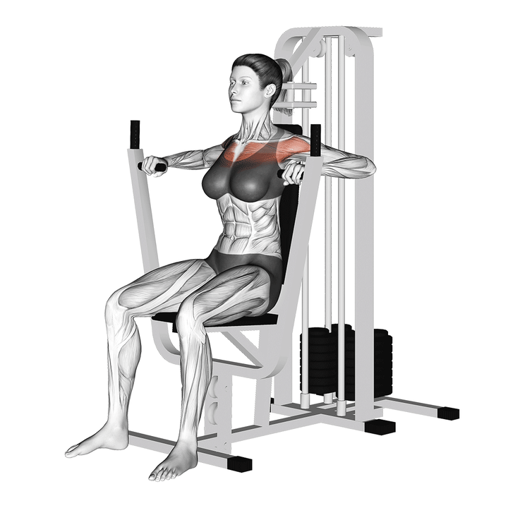 Animatie van de chest press, uitgevoerd door een vrouw