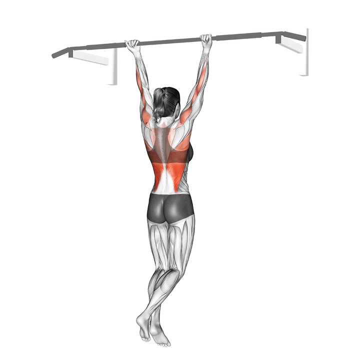Animatie van de chin-up, uitgevoerd door een vrouw