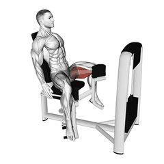 Adductor machine