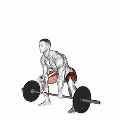 Sumo