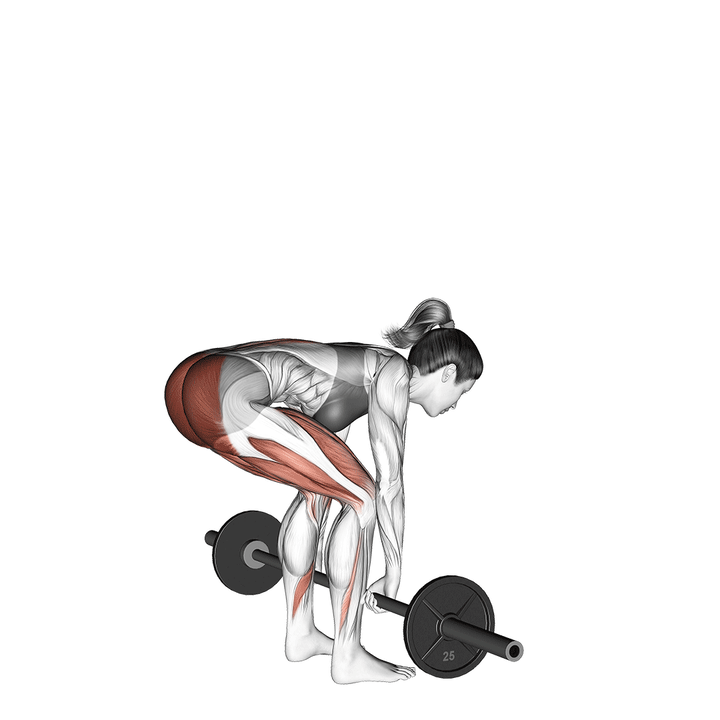 Animatie van de deadlift, uitgevoerd door een vrouw