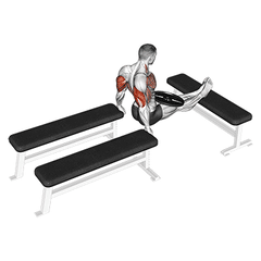 Bench dips