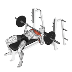 Met barbell