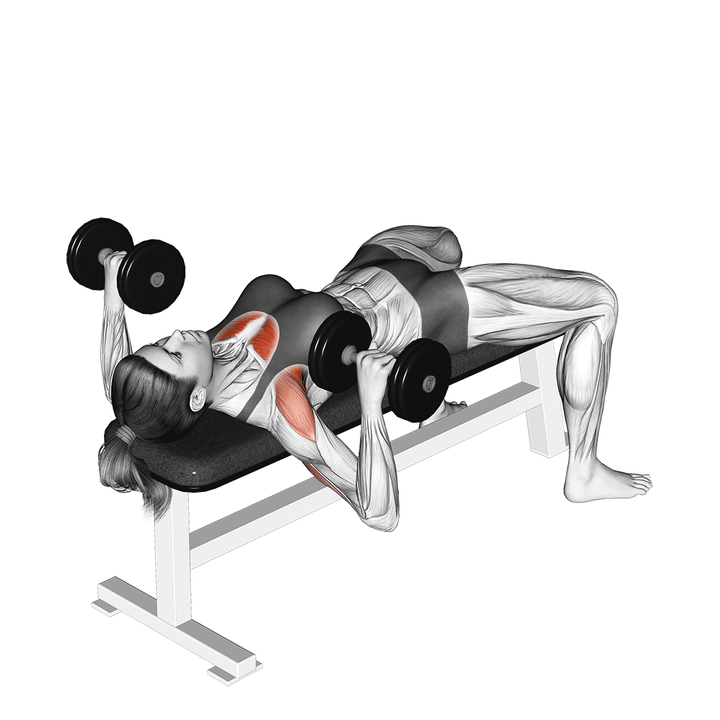 Animatie van de dumbbell bench press, uitgevoerd door een vrouw