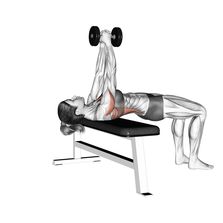Animatie van de dumbbell pullover, uitgevoerd door een vrouw