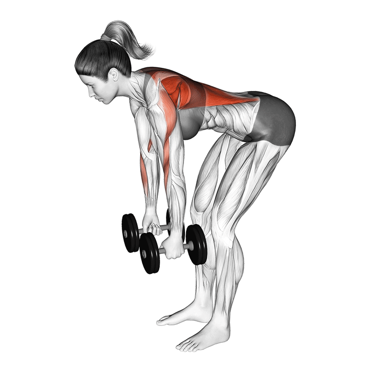 Animatie van de dumbbell row, uitgevoerd door een vrouw