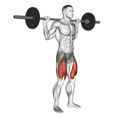 Back squat