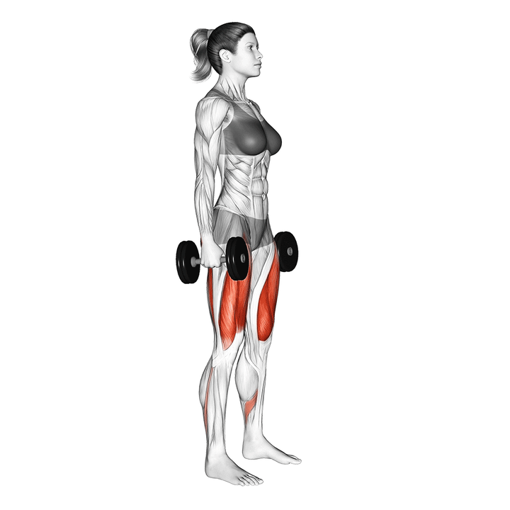 Animatie van de dumbbell squat, uitgevoerd door een vrouw