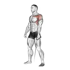 Cable lateral raise