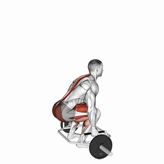 Trap bar deadlift