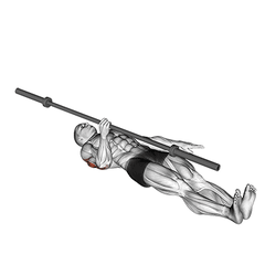 Met barbell