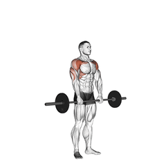Met barbell