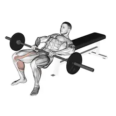 Hip thrust