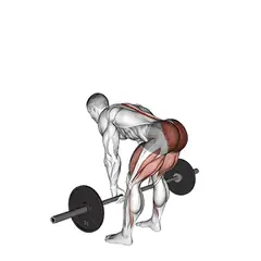 Romanian deadlift