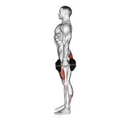 Sumo squat