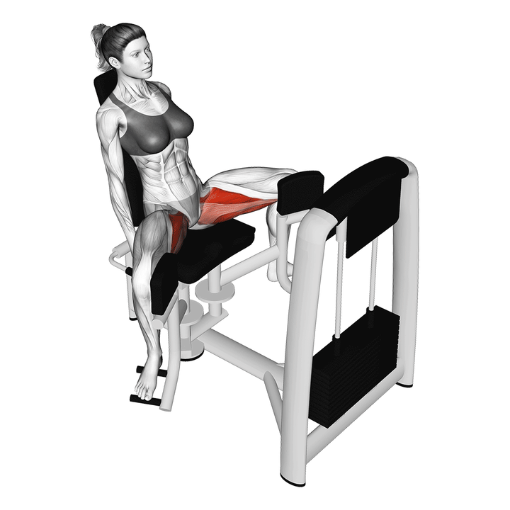 Animatie van de hip adductor, uitgevoerd door een vrouw
