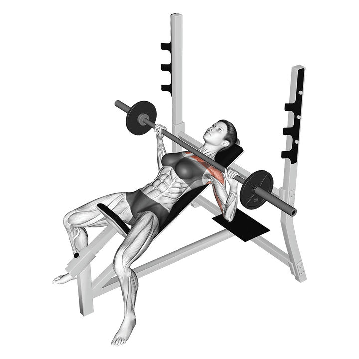 Animatie van de incline bench press, uitgevoerd door een vrouw