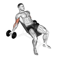 Inner biceps curl