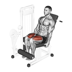 Leg extension