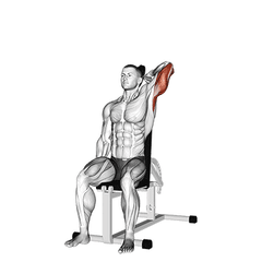 Met dumbbell