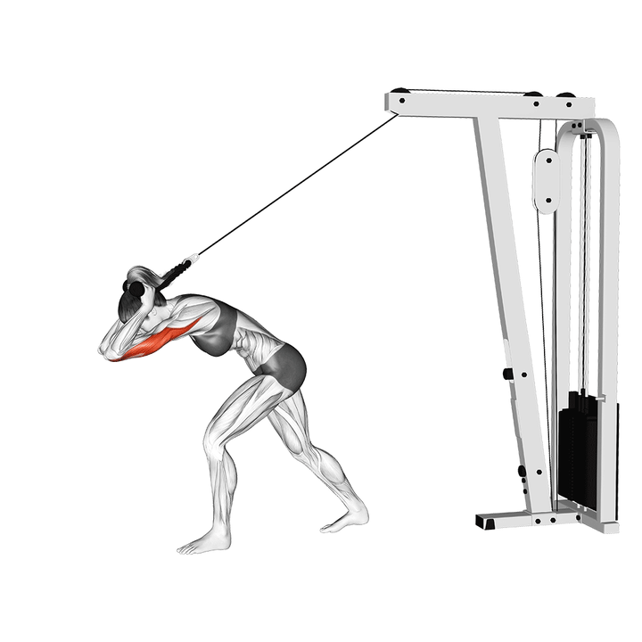 Animatie van de overhead triceps extension, uitgevoerd door een vrouw