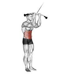 Cable woodchop