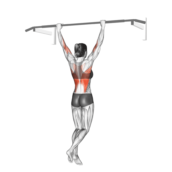 Animatie van de pull-up, uitgevoerd door een vrouw