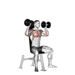 Shoulder press