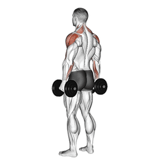 Met dumbbells