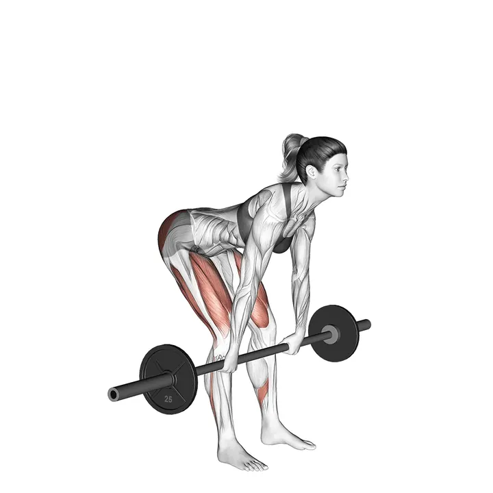 Animatie van de romanian deadlift, uitgevoerd door een vrouw
