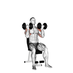 Arnold press