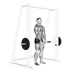 Smith machine