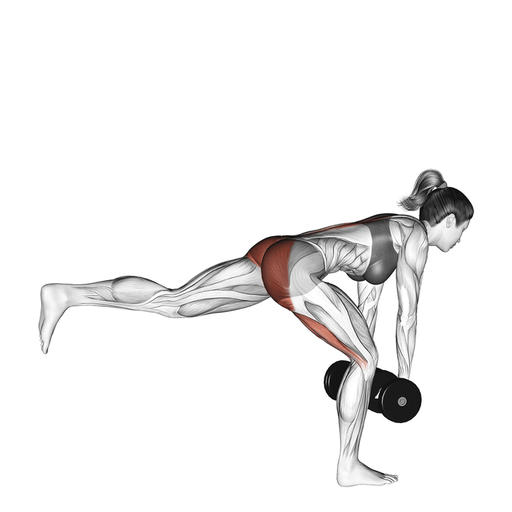 Animatie van de single-leg romanian deadlift, uitgevoerd door een vrouw