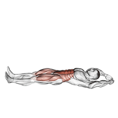 Jackknife