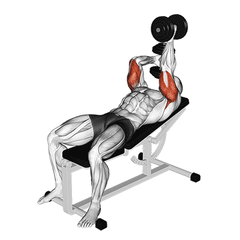 Met dumbbells