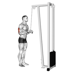 V-bar